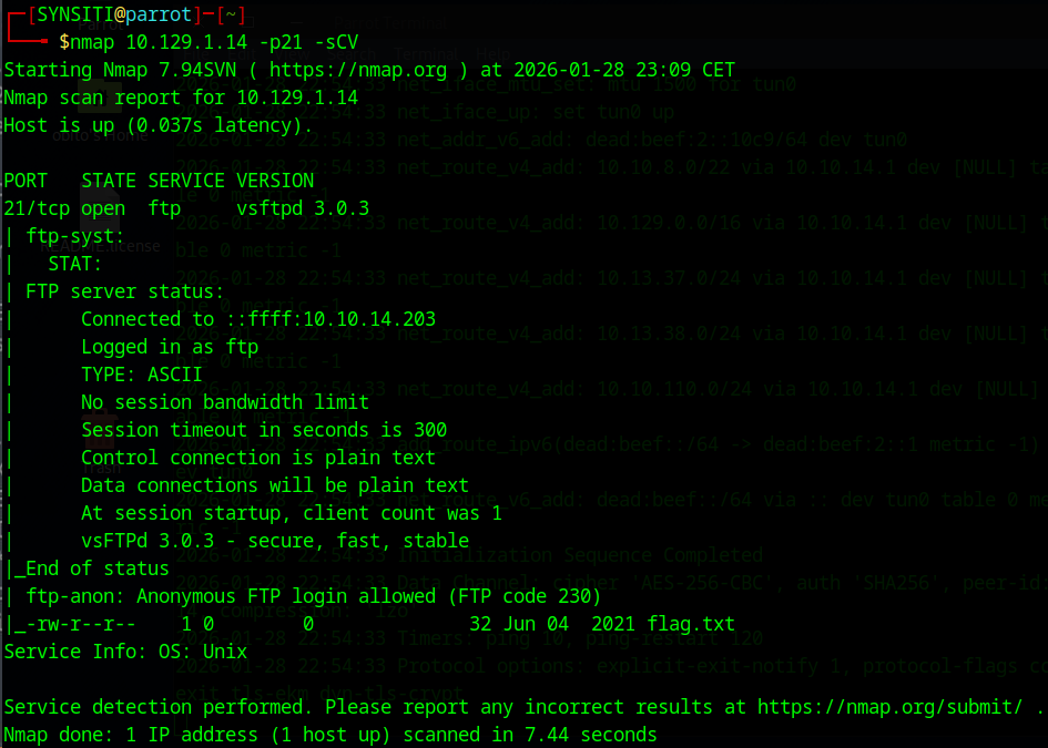 Fawn nmap scan results